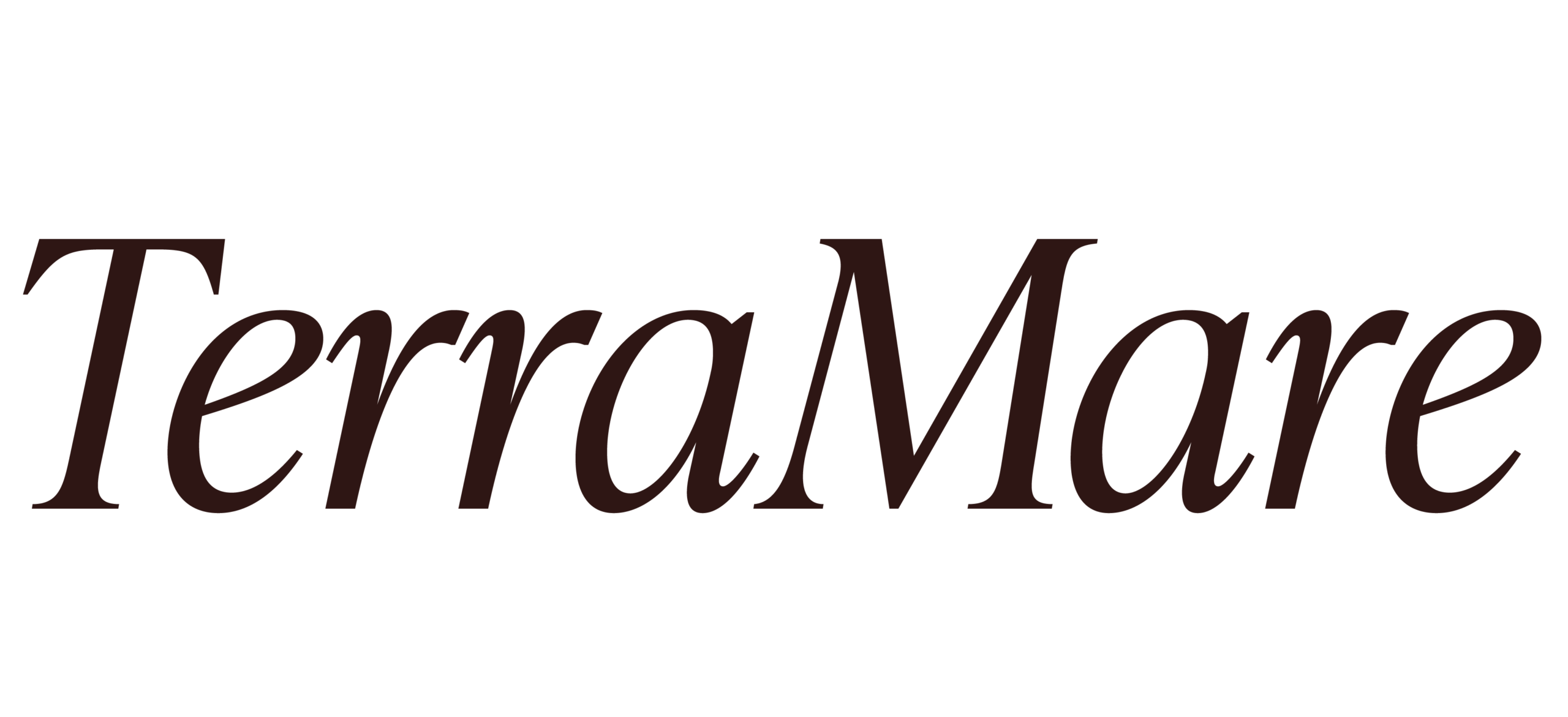 TerraMare Logo